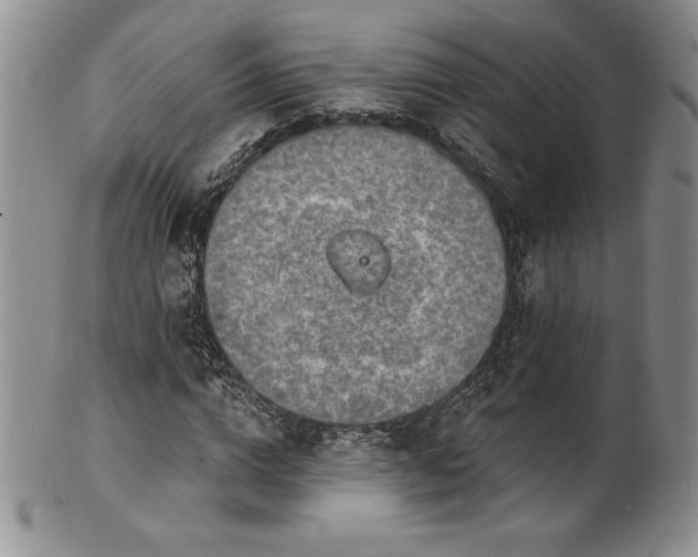 X0000101690824200807171433