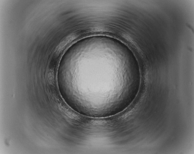 X0000101690825200807171433