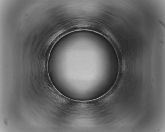 X0000101690829200807171433