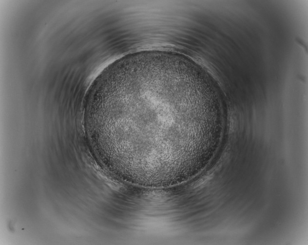 X0000101690830200807171433