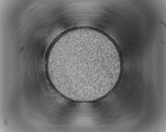 X0000101690832200807171433