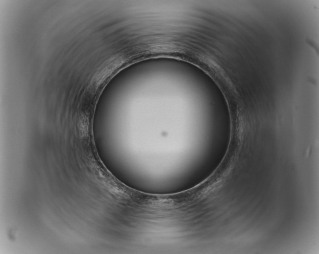 X0000101690833200807171433