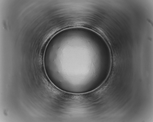 X0000101690835200807171433