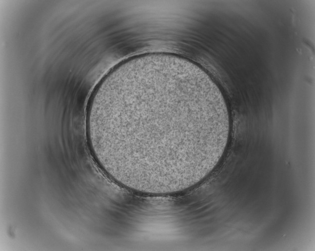 X0000101690836200807171433