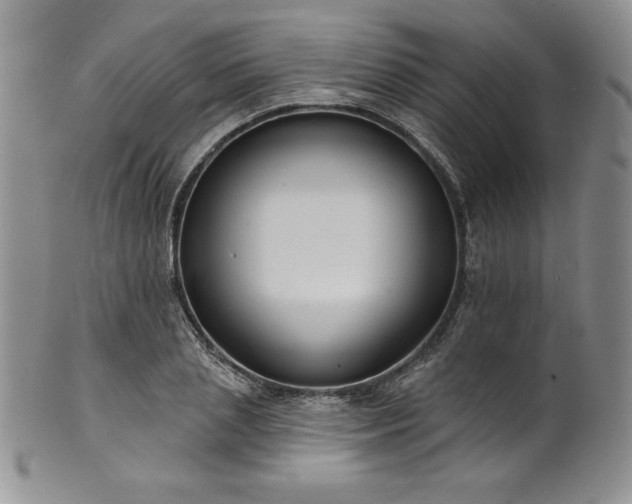 X0000101690837200807171433