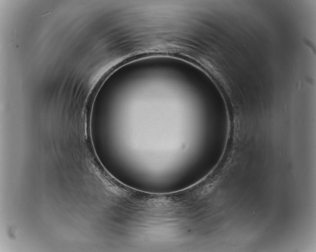 X0000101690838200807171433