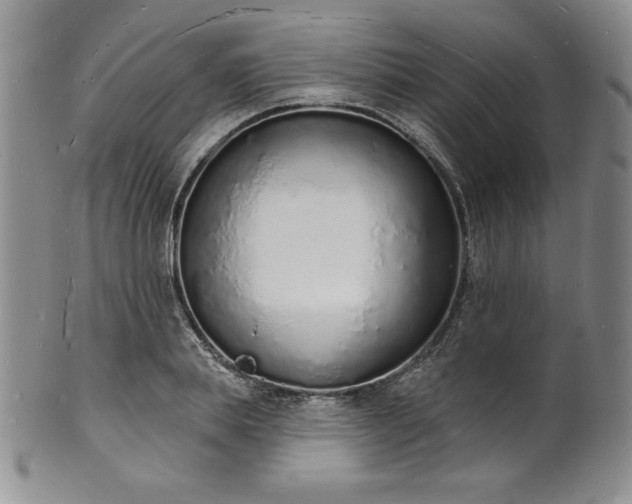 X0000101690839200807171433