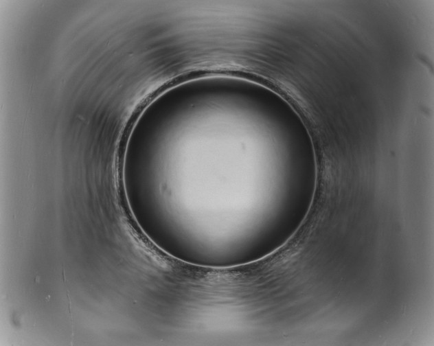 X0000101690840200807171433