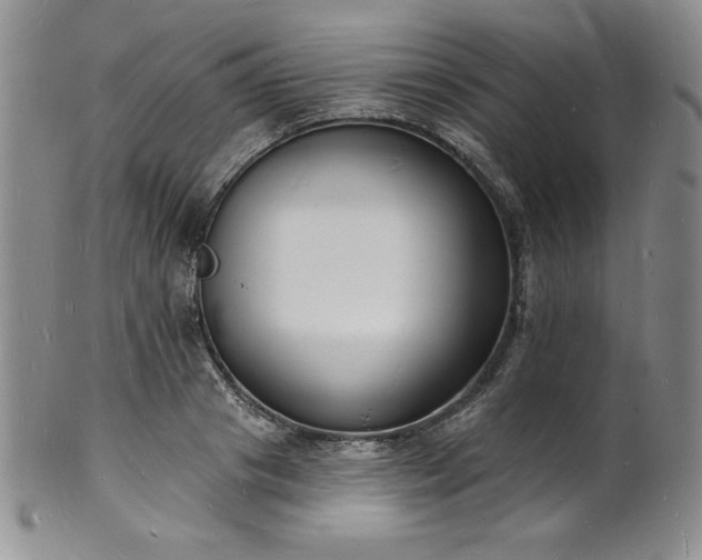 X0000101690841200807171433