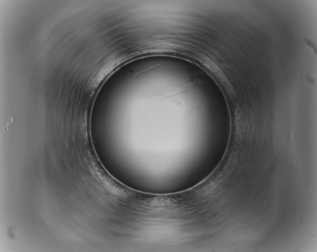 X0000101690842200807171433