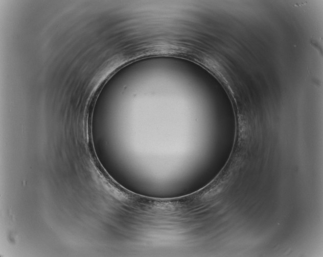 X0000101690843200807171433