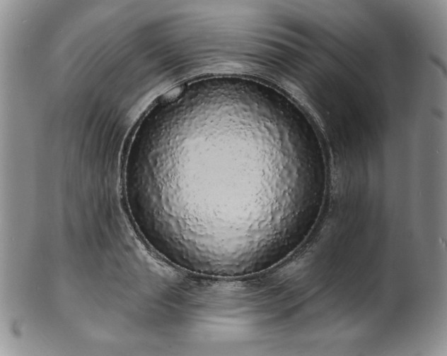 X0000101690845200807171434