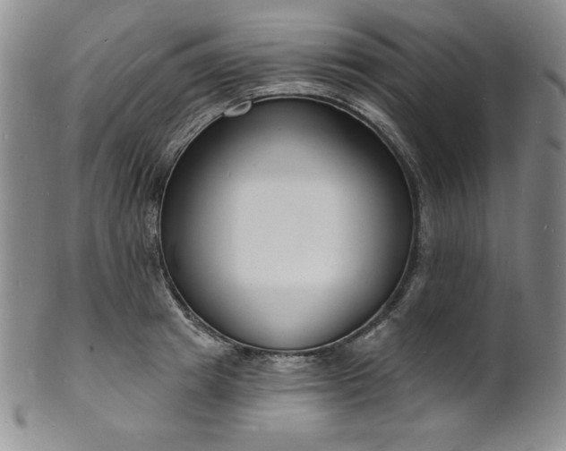 X0000101690849200807171434