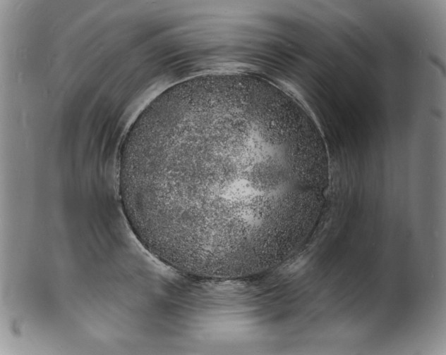 X0000101690851200807171434