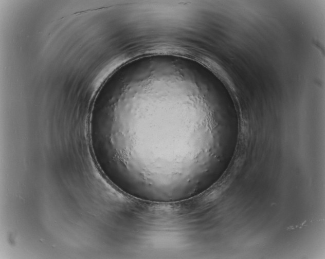 X0000101690855200807171434