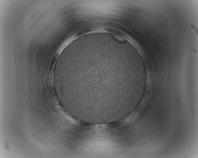 X0000101690858200807171434