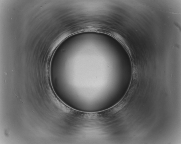 X0000101690859200807171434