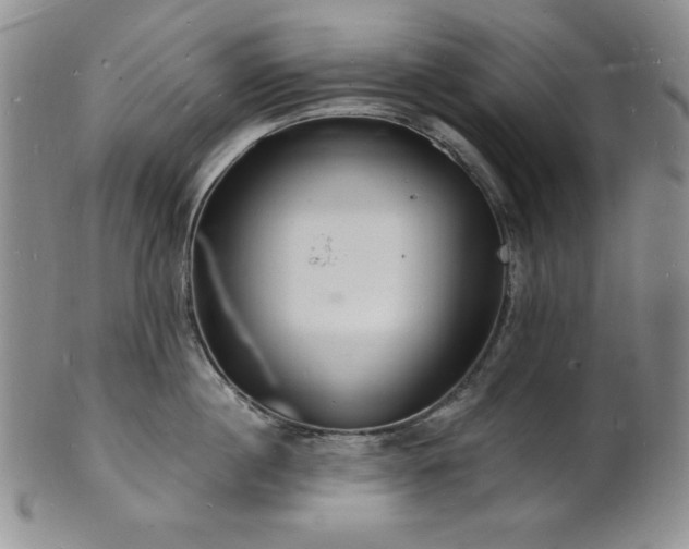 X0000101690860200807171434