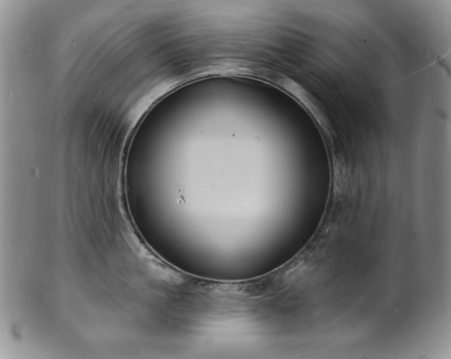 X0000101690861200807171434