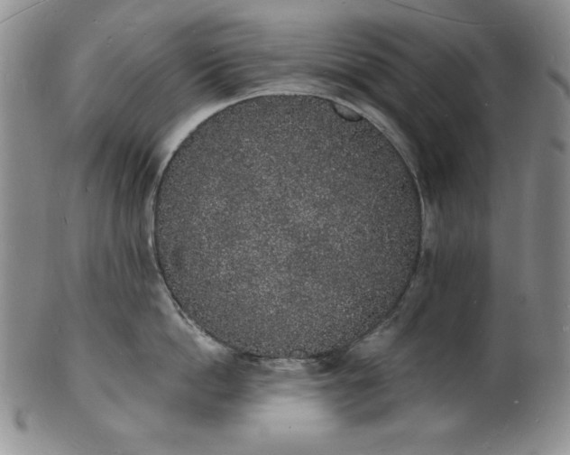 X0000101690862200807171434