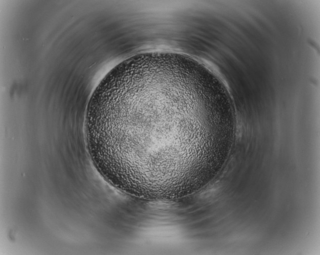 X0000101690863200807171434