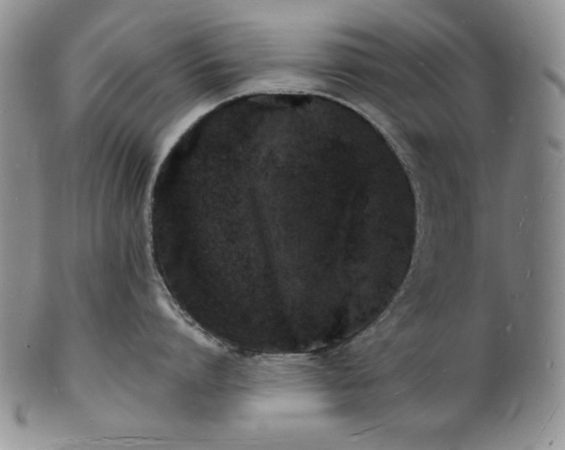 X0000101690864200807171434