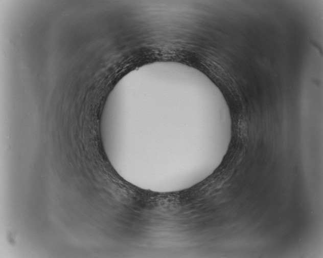 X0000101690865200807171433