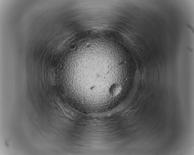 X0000101690868200807171433