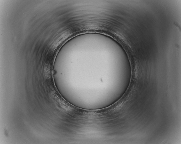 X0000101690873200807171433