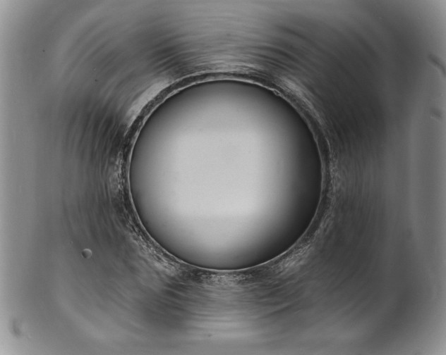 X0000101690875200807171433