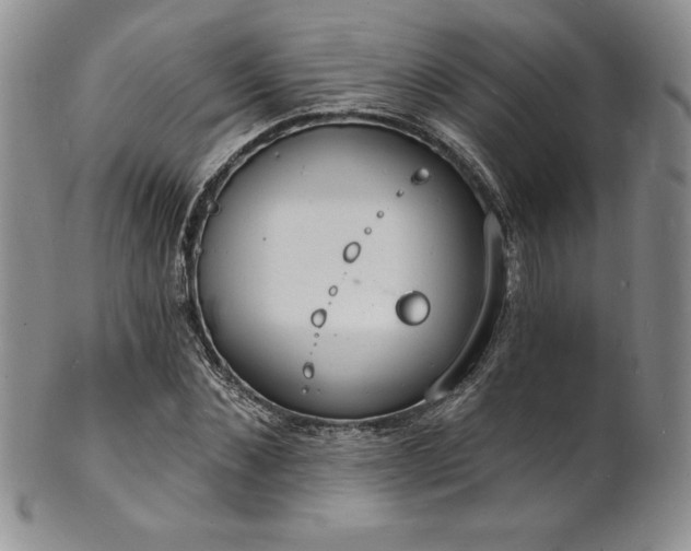 X0000101690876200807171433