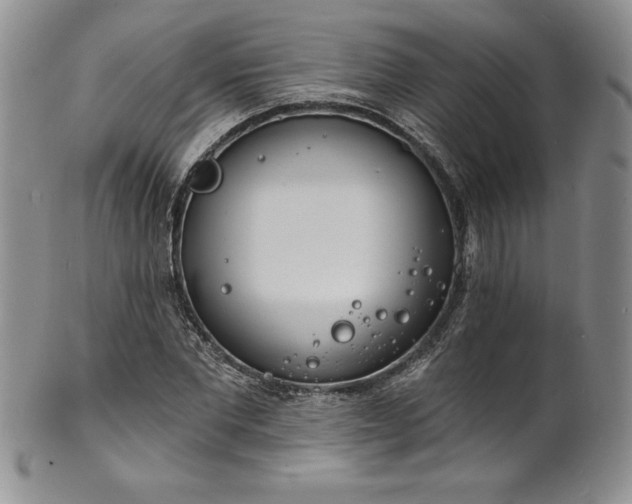 X0000101690877200807171433