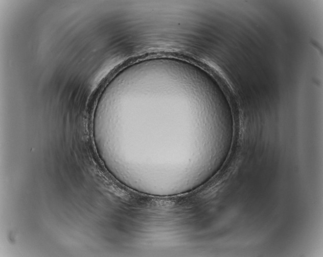 X0000101690878200807171433