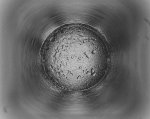 X0000101690879200807171433