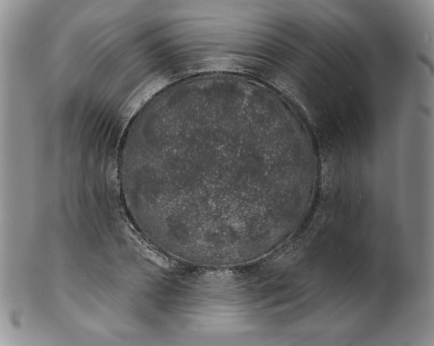 X0000101690882200807171433