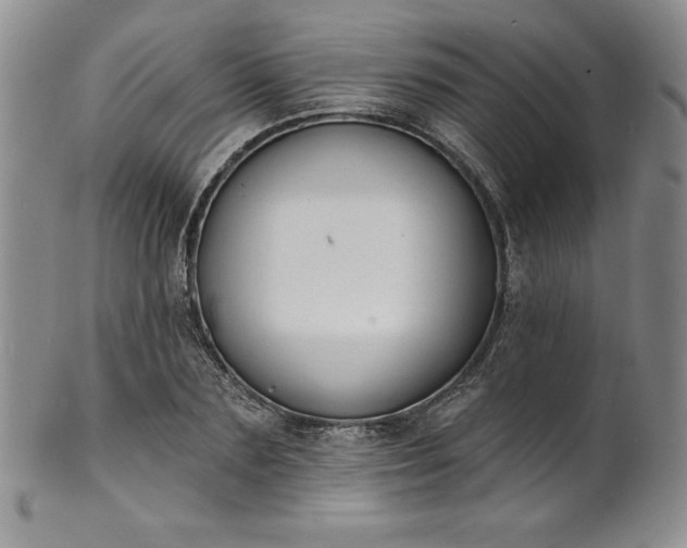 X0000101690883200807171433