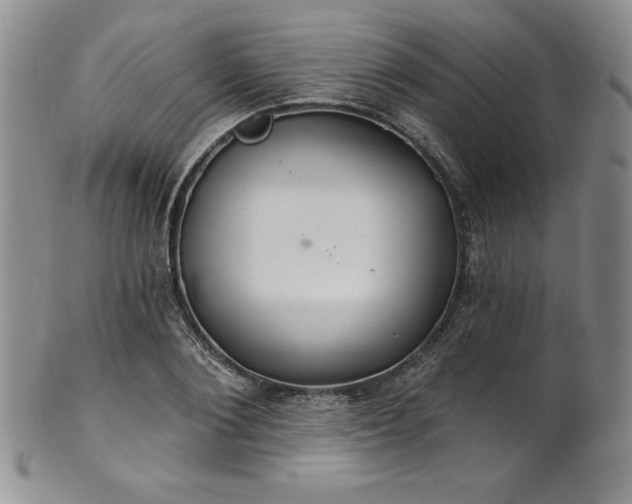 X0000101690884200807171433