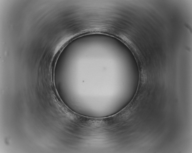 X0000101690886200807171433