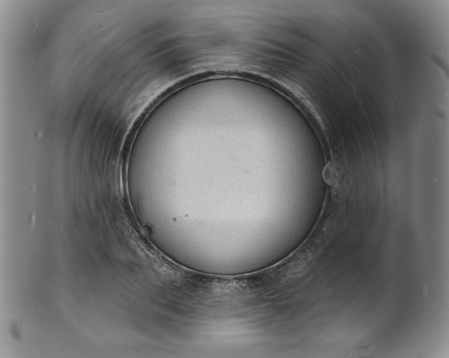 X0000101690887200807171433