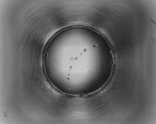 X0000101690888200807171433