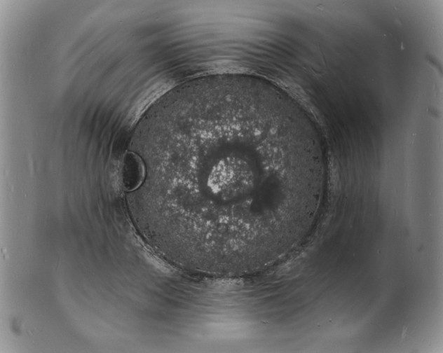 X0000101690889200807171433