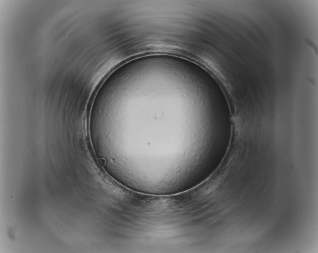 X0000101690891200807171433