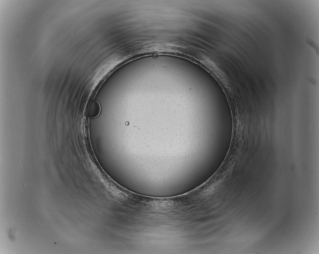 X0000101690893200807171433