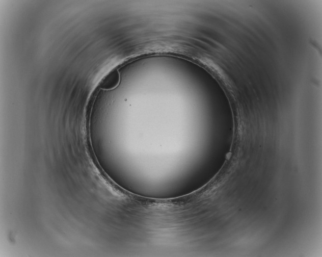 X0000101690894200807171433