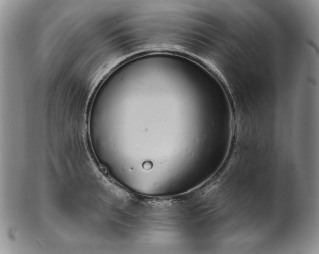 X0000101690895200807171433