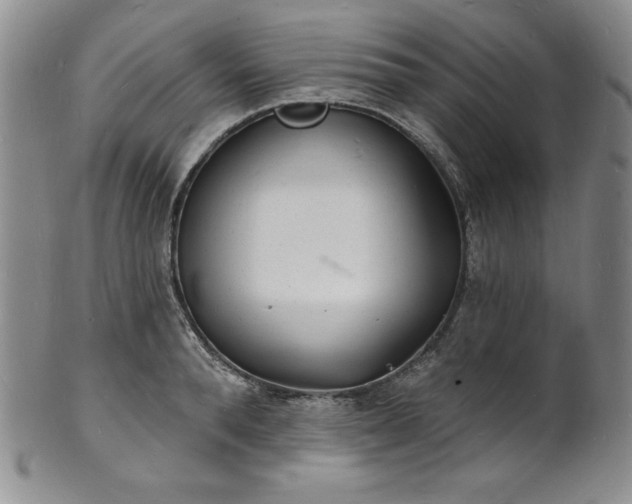 X0000101690896200807171433