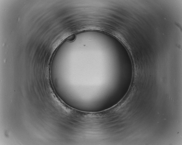 X0000101690898200807171433