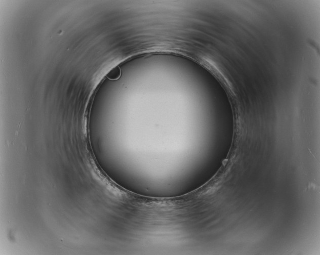 X0000101690900200807171433