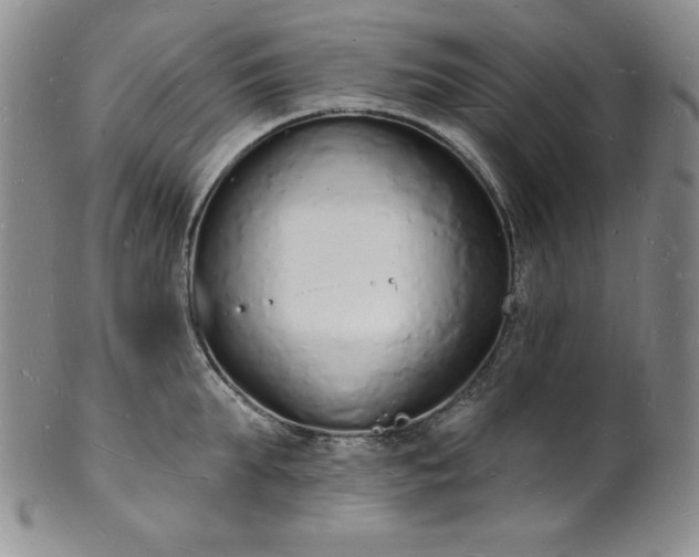 X0000101690903200807171432