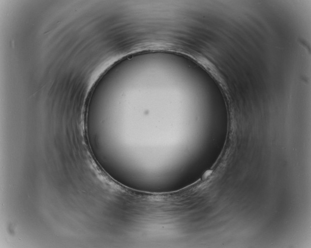 X0000101690904200807171432